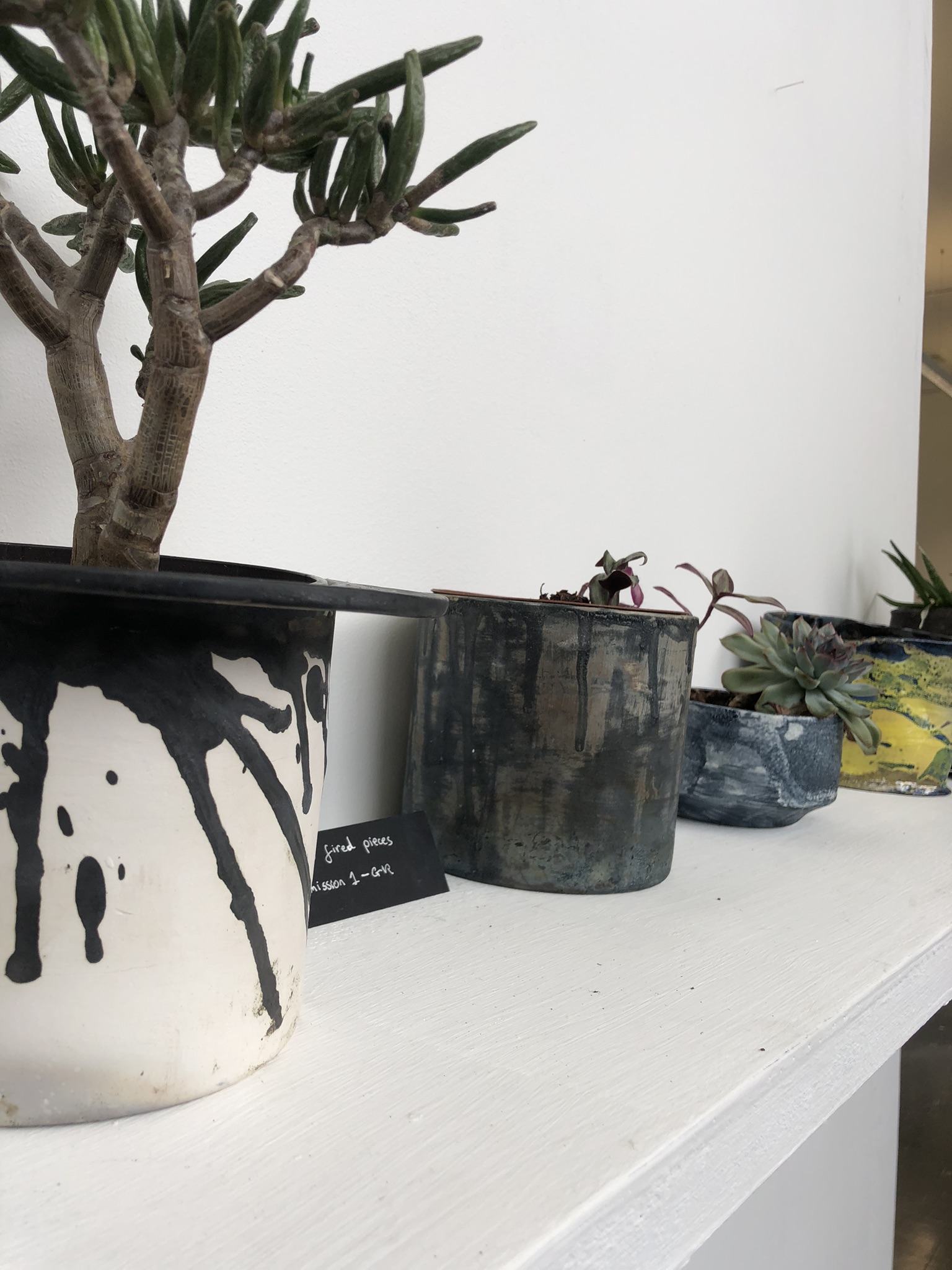 BLEND exhibition shelf — wider view of the GiR display layout